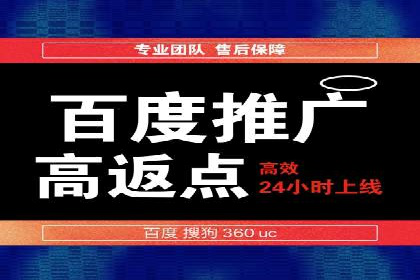 百度推广公司案例分享：如何通过百度推广实现持续增长